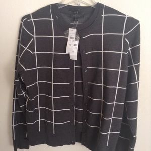 NEW ANN TAYLOR 2 PIECE CARDIGAN SET